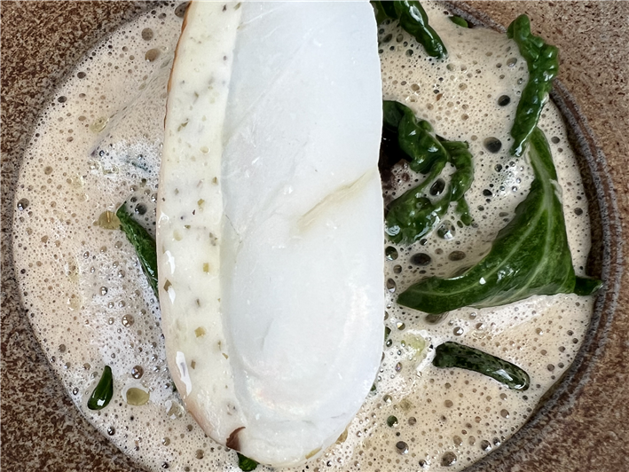 turbot